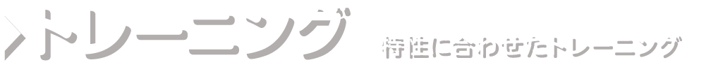 トレーニング/特性に合わせたトレーニング